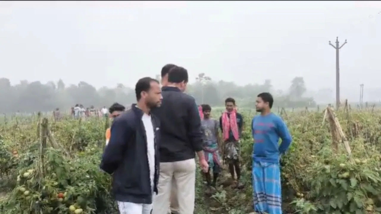 دتہ پوکھر علاقے سے نوجوان کی گلا کٹی لاش بر آمد
