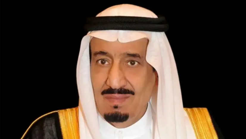 دہائی سے بھی کم میں وہ کچھ حاصل کیا جس نے ہمیں عالمی رول ماڈل بنا دیا: شاہ سلمان