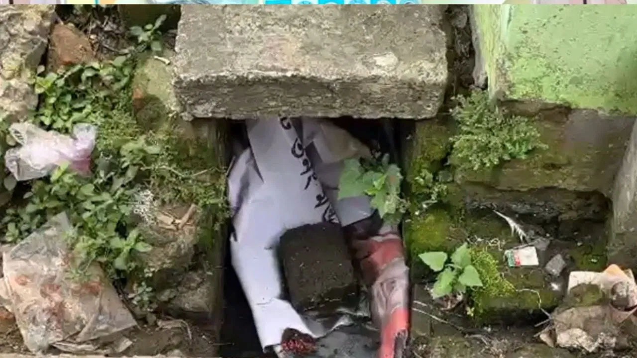 ترنمول کے پاس بی جے پی کے جھنڈے اور فیسٹوں پھاڑنے کا وقت نہیں ہے