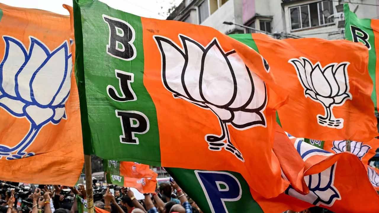 بی جے پی کے کارکن، ترنمول کے جھنڈے کو پھاڑنے پر ایک دوسرے سے لڑ گئے