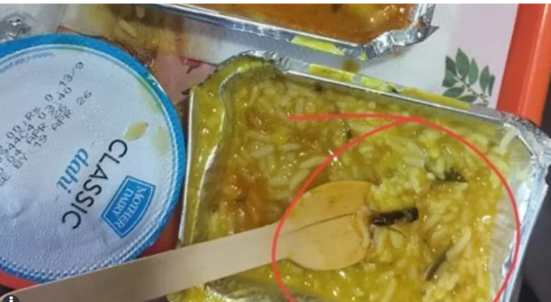 ’وندے بھارت‘ ٹرین کے کھانا میں نکلا کیڑا، تصویر ہوئی وائرل، ریلوے نے لگایا 10 لاکھ روپے کا جرمانہ