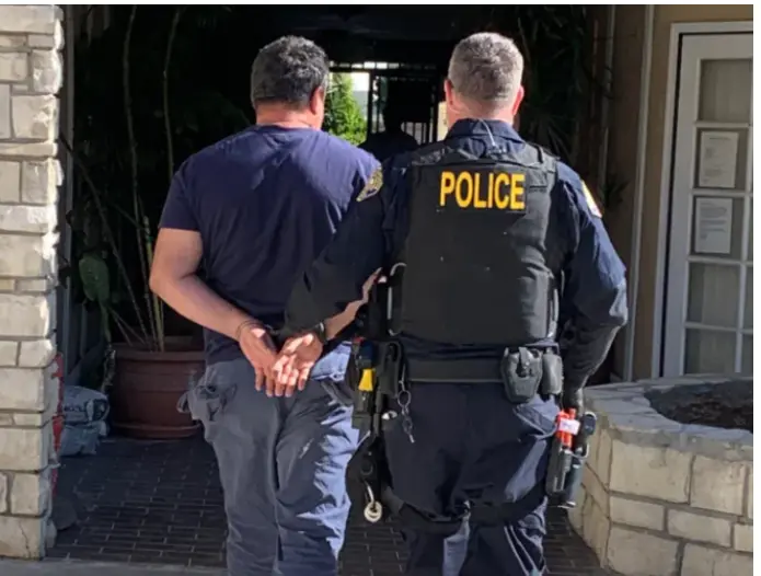 امریکہ میں انوکھا انشورنس فراڈ جس میں ایک ’ریچھ‘ بھی ملوث تھا