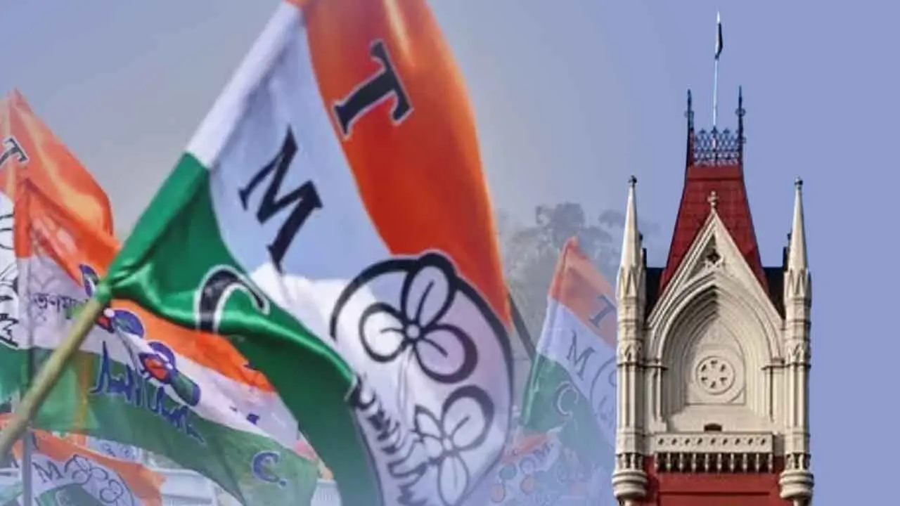 احتیاطی حراست کی کوئی صورت حال نہیں ہے؛ عدالت نے کمیشن کو بتایا