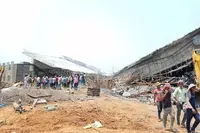 جنگل محل میں ہاتھیوں کے حملے سے زیرِ تعمیر پل گر گیا