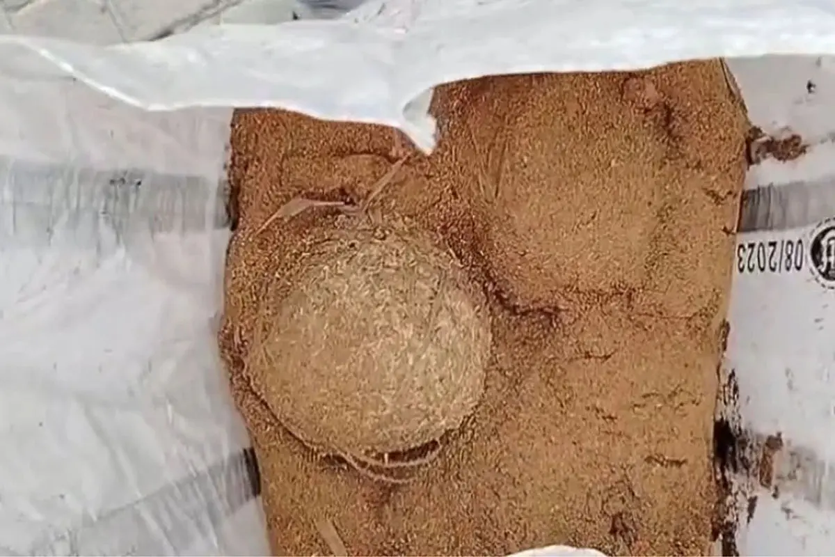 چناﺅ ختم ہوتے ہی بھانگڑ سے بم بر آمد