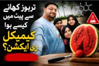 ’’تربوز میں موجود زنک فاسفائیڈ سے بنی زہریلی فاسفین گیس‘‘ فارینسک رپورٹ نے بتایا کیسے ہوئی ممبئی کے ڈوکاڈیا خاندان کی موت