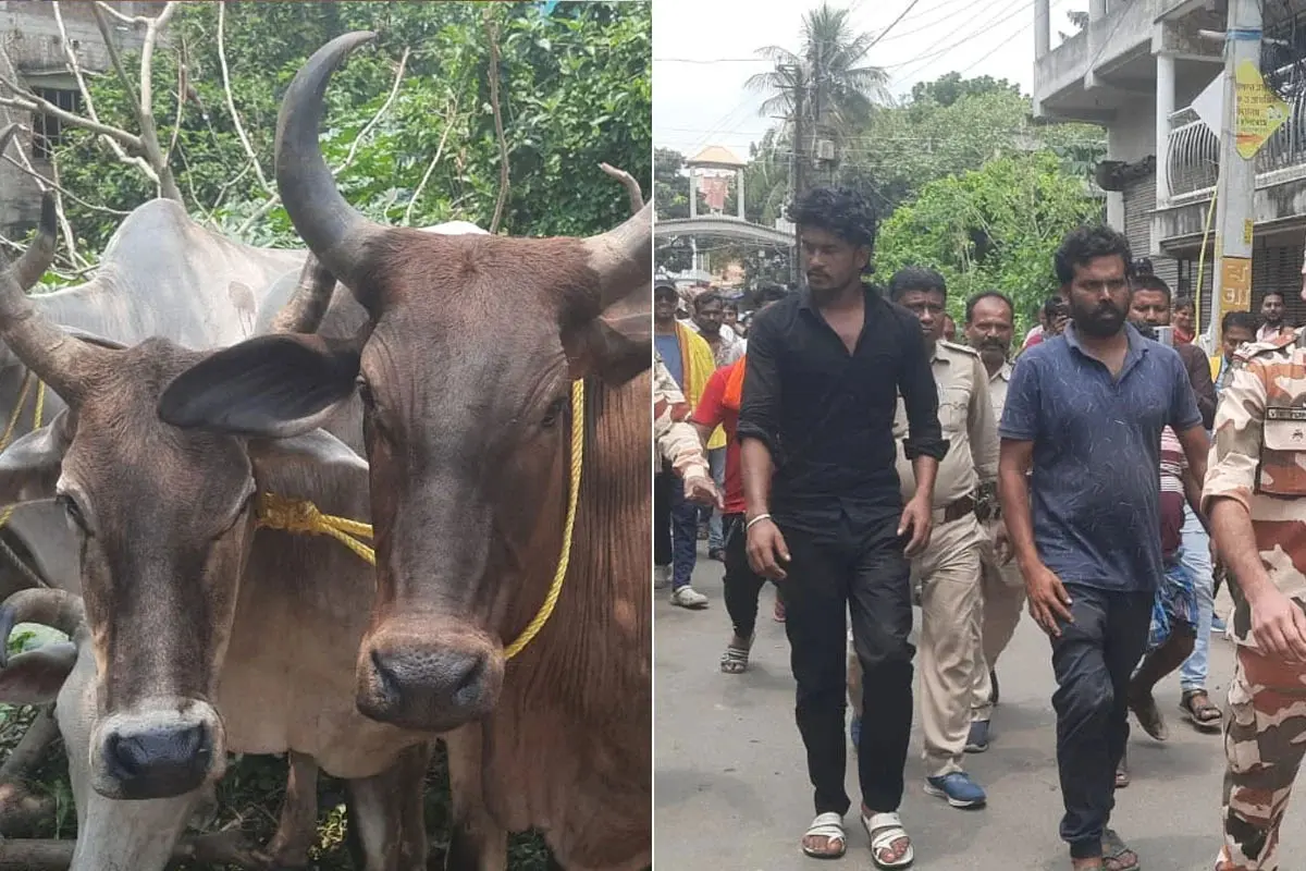 گائے لے جانے کے الزام میں چار مسلم نوجوان گرفتار