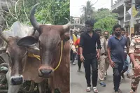 گائے لے جانے کے الزام میں چار مسلم نوجوان گرفتار