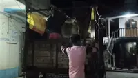 گائے غیر قانونی اسمگلنگ کے معاملے میں پانچ افراد گرفتار