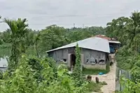 جلپائیگوری میں صحت کے خطرات اور آلودگی کے سبب سور فارم کو دیہاتیوں نے گرایا