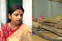 ترنمول وارڈ آفس سے دھار دار ہتھیاربر آمد ، ادیتی کو نشانہ بنا یا گیا