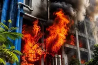 شکاریوں کا ڈیٹابیس 'غائب' کرنے کے لیے علی پور کی ضلع پریشد عمارت میں آگ لگائی گئی