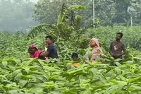 بارہ لوگوں کو بنگلہ دیش بھیجنے کے معاملے کو لے کر بی ایس ایف اور بی جی بی میںتناﺅ