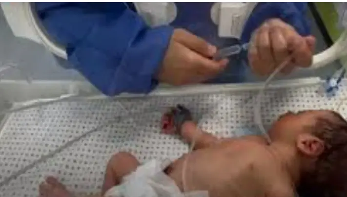 غزہ: چند ماہ میں بچوں کی شرح پیدائش 67 فیصد کم ہوگئی