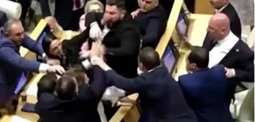 جارجیا کی پارلیمنٹ میں ارکان گتھم گتھا، مکوں کی برسات کردی