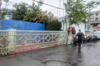 ممتا  کی زندگی بد ل گئی جب ان کے وفادار ساتھی چھوڑ کر چلے گئے