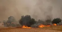 ایتھنز کے قریب جنگلاتی آگ بجھانے کے دوران دو ہیلی کاپٹروں کے تصادم میں دو افراد ہلاک، دو محفوظ