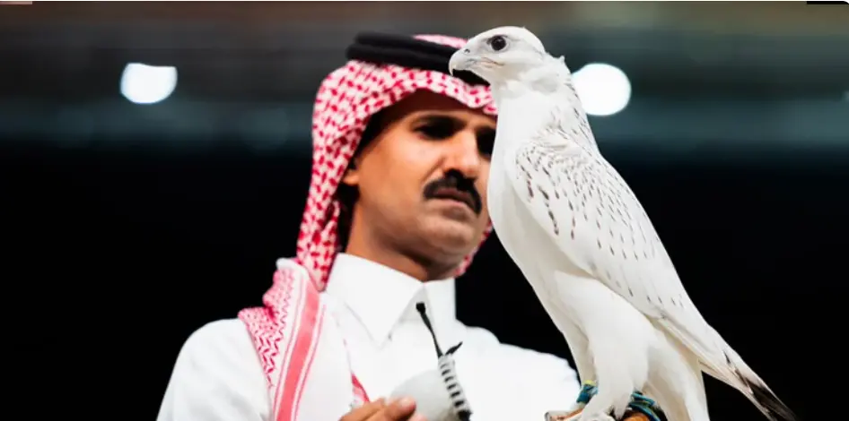 سعودی عرب : نایاب پرندے کی نیلامی نے تہلکہ مچا دیا