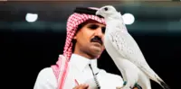 سعودی عرب : نایاب پرندے کی نیلامی نے تہلکہ مچا دیا