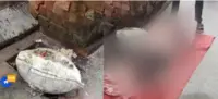 کولکاتا: نیو ٹاؤن میں نوجوان کی بوری بند لاش برآمد، چہرے کو اینٹوں سے کچلا گیا؛ سی سی ٹی وی میں ملزم کی تصاویر قید