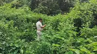 رگھوناتھ گنج کے جنگل میں تلاشی کے بعد بنگلہ دیش کے اس شہری کو گرفتار کر لیا!