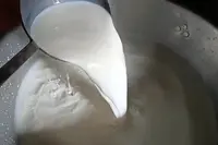 نادیہ میں گائے کے دودھ میں بھی مائیکرو پلاسٹک! 'غلطی نہ کی تو' بڑا خطرہ، ماہرین کیا کہہ رہے ہیں؟