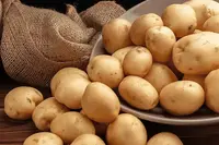 آلو کی پیداوار میں خود کفالت کی راہ پر بنگال، ریاست میں ہی بیج کی تحقیق ہوگی