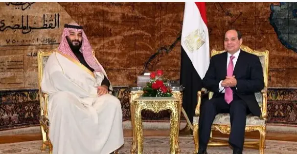 سیسی اور سعودی ولی عہد کی قاہرہ میں ملاقات، باب المندب میں آمدورفت کی سکیورٹی پر تبادلہ خیال
