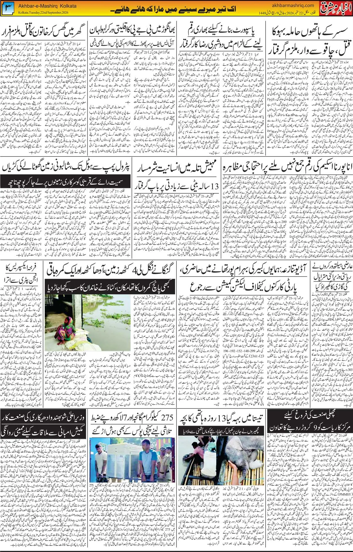 EPaper Active Page
