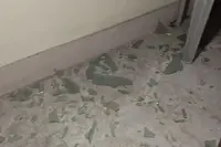 جیل سے واپسی کے بعد ہی باراسات میں ترنمول کانگریس کے کونسلر پر حملہ
