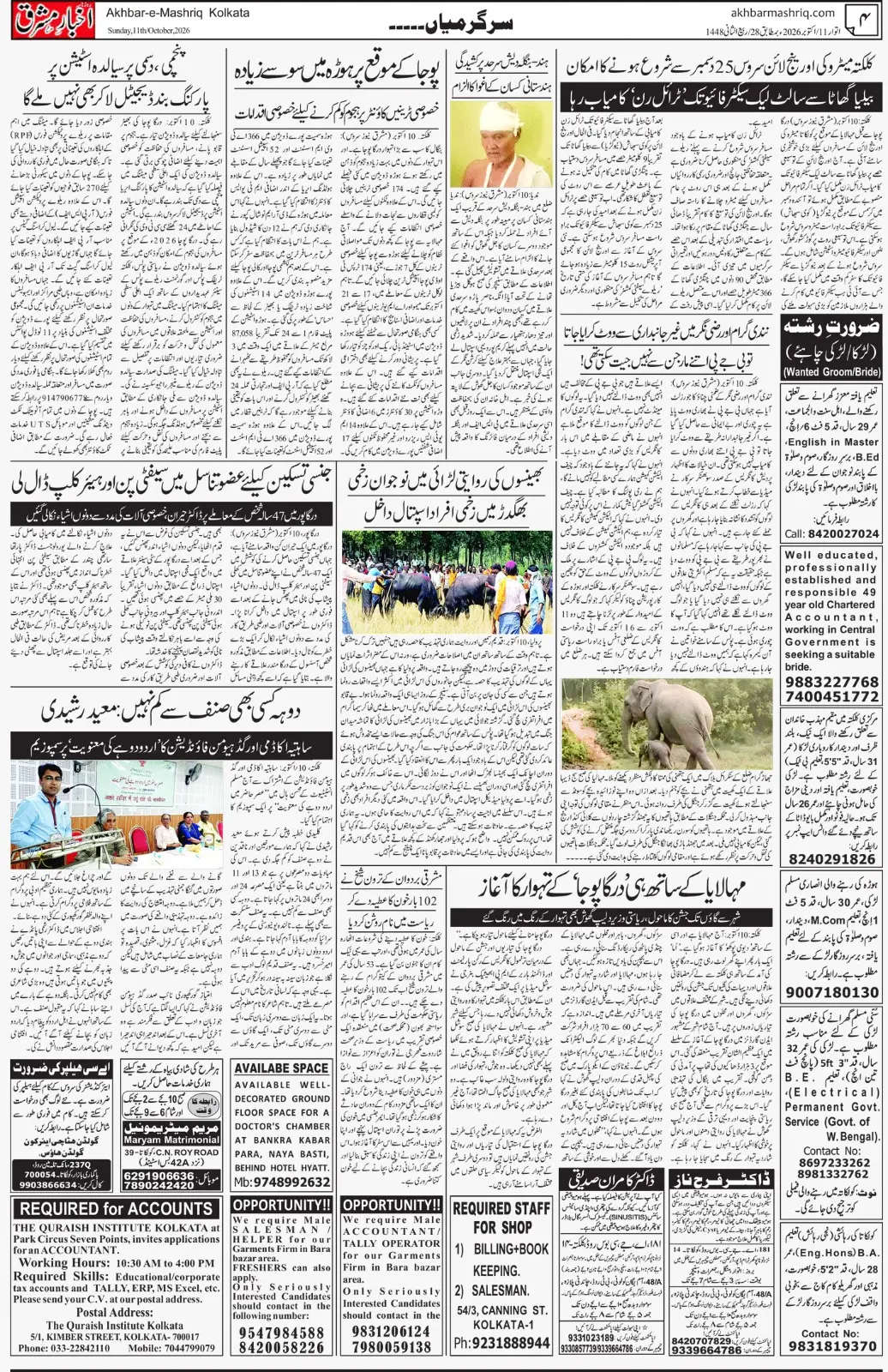 EPaper Active Page
